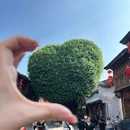 福州国家森林公园 - 福州市旅游 缩略图 2