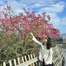 福州国家森林公园 - 福州市旅游 缩略图 7