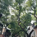 福州国家森林公园 - 福州市旅游 缩略图 8