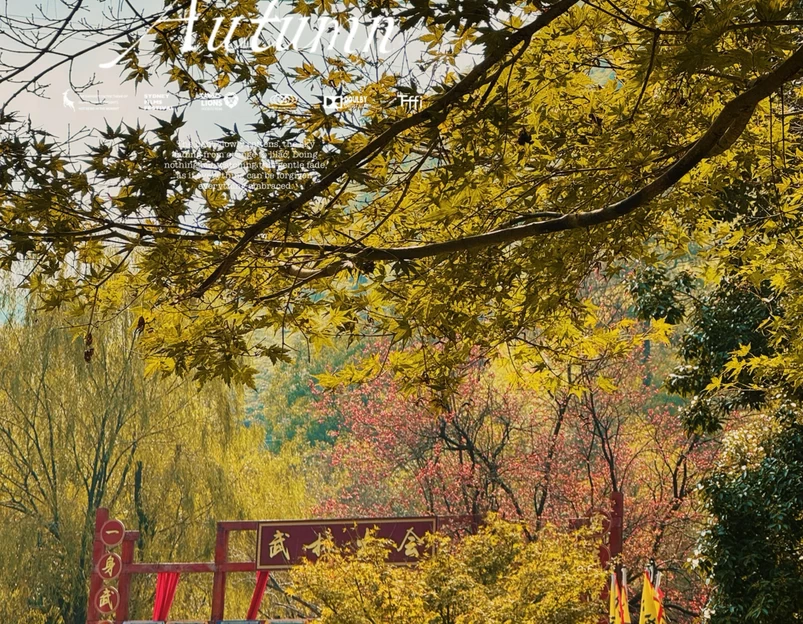 中国大竹海景区 - 湖州市旅游 1