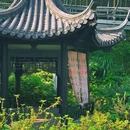中国大竹海景区 - 湖州市旅游 缩略图 9
