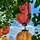 维也纳酒店(重庆上清寺牛角沱轻轨站店) - 重庆市旅游 缩略图 1