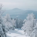 北海道 - 日本旅游 缩略图 8