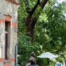 苏州大学(天赐庄校区) - 苏州市旅游 缩略图 4