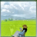 广州增城丝苗米稻田公园 - 广州市旅游 缩略图 2