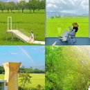 广州增城丝苗米稻田公园 - 广州市旅游 缩略图 1