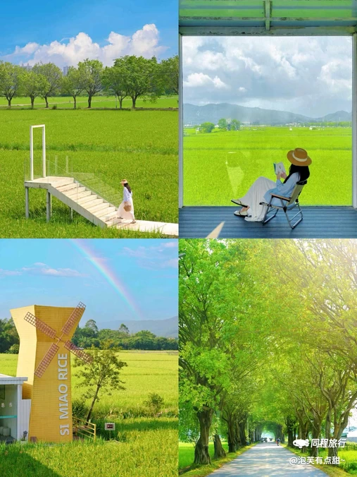 广州增城丝苗米稻田公园 - 广州市旅游
