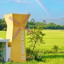 广州增城丝苗米稻田公园 - 广州市旅游 缩略图 3