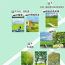 广州增城丝苗米稻田公园 - 广州市旅游 缩略图 9