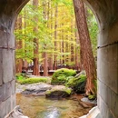 国家植物园南园 - 北京市旅游 缩略图 6