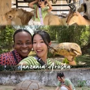 坦桑尼亚阿鲁沙区Arusha Urban - 其他旅游 缩略图 1