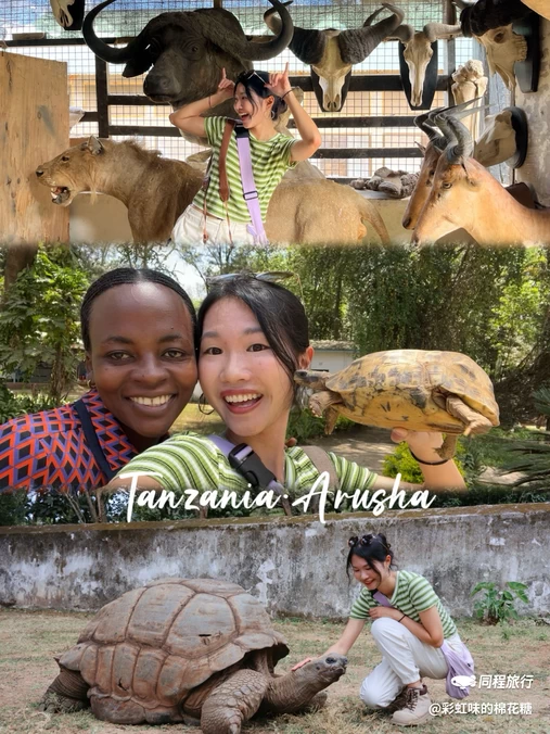 坦桑尼亚阿鲁沙区Arusha Urban - 其他旅游