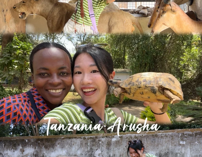 坦桑尼亚阿鲁沙区Arusha Urban - 其他旅游 1