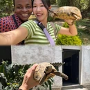 坦桑尼亚阿鲁沙区Arusha Urban - 其他旅游 缩略图 6