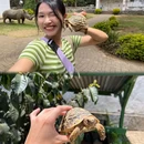 坦桑尼亚阿鲁沙区Arusha Urban - 其他旅游 缩略图 8