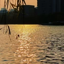 迎泽公园 - 太原旅游 缩略图 2