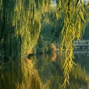 迎泽公园 - 太原旅游 缩略图 3