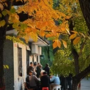 迎泽公园 - 太原旅游 缩略图 8