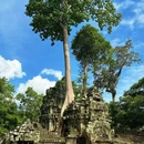 暹粒 - 柬埔寨旅游 缩略图 2