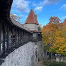 塔林 - 爱沙尼亚旅游 缩略图 1