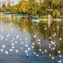 昆明旅游 缩略图 7