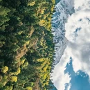朗秋隆巴 - 林芝市旅游 缩略图 3