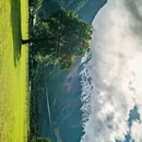 朗秋隆巴 - 林芝市旅游 缩略图 8