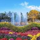 青岛中山公园 - 青岛市旅游 缩略图 9