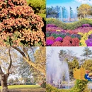 青岛中山公园 - 青岛市旅游 缩略图 7