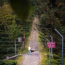大地茶海森林康养基地 - 保山市旅游 缩略图 7