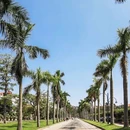 厦门旅游 缩略图 4