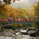 米仓山旅游景区-观止台景点 - 巴中市旅游 缩略图 1