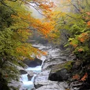 米仓山旅游景区-观止台景点 - 巴中市旅游 缩略图 9