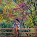 米仓山旅游景区-观止台景点 - 巴中市旅游 缩略图 7