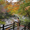 米仓山旅游景区-观止台景点 - 巴中市旅游 缩略图 6
