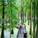 青山湖景区 - 杭州市旅游 缩略图 2