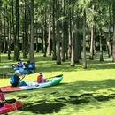 青山湖景区 - 杭州市旅游 缩略图 8