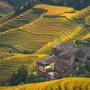龙脊梯田风景名胜区 - 桂林市旅游 缩略图 1