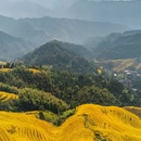 龙脊梯田风景名胜区 - 桂林市旅游 缩略图 7