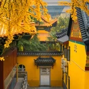 中国科学院武汉植物园 - 武汉市旅游 缩略图 6