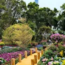 宏城公园 - 广州市旅游 缩略图 5