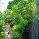 上海世博木棉花凯悦臻选酒店 - 上海市旅游 缩略图 1