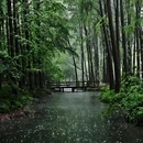 太子湾公园 - 杭州市旅游 缩略图 3