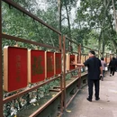 大足石刻旅游景区 - 重庆市旅游 缩略图 7