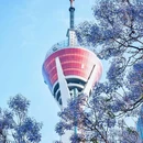 成都站-南出站口 - 成都市旅游 缩略图 3