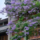 成都站-南出站口 - 成都市旅游 缩略图 7