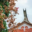 小山丛竹 - 泉州市旅游 缩略图 3
