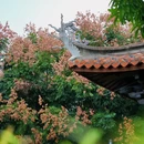 小山丛竹 - 泉州市旅游 缩略图 5