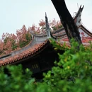 小山丛竹 - 泉州市旅游 缩略图 9