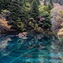 九寨沟景区 - 阿坝藏族羌族自治州旅游 缩略图 8